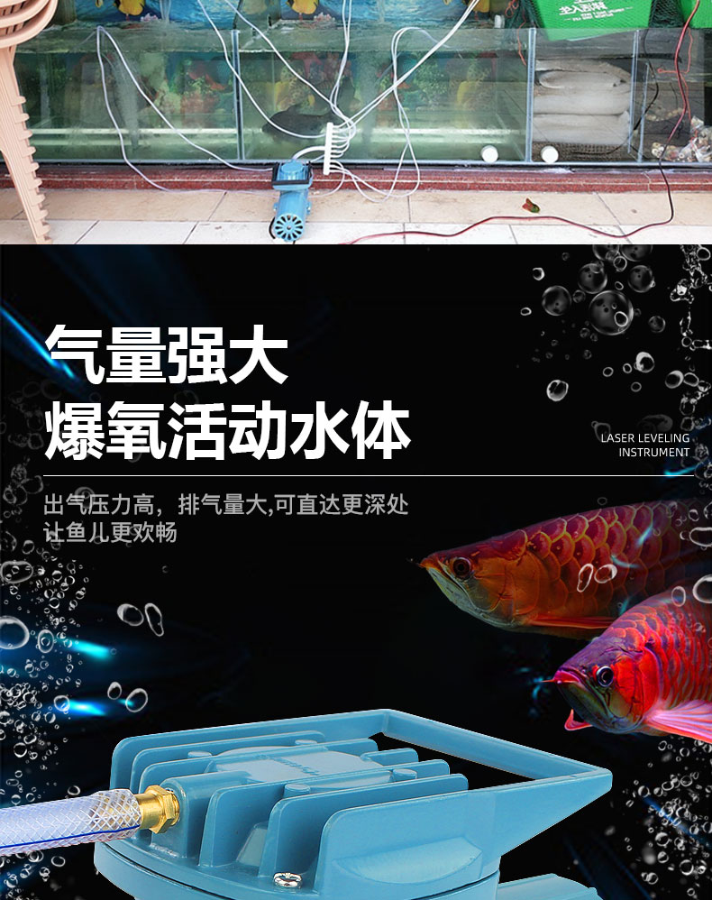 慈世堂：孔雀鱼的饲养方法有哪些？如何选购