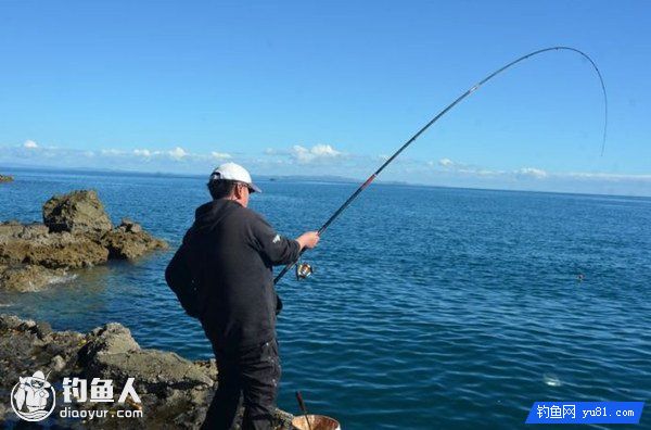 海钓入门之浮游矶钓的基础知识详解